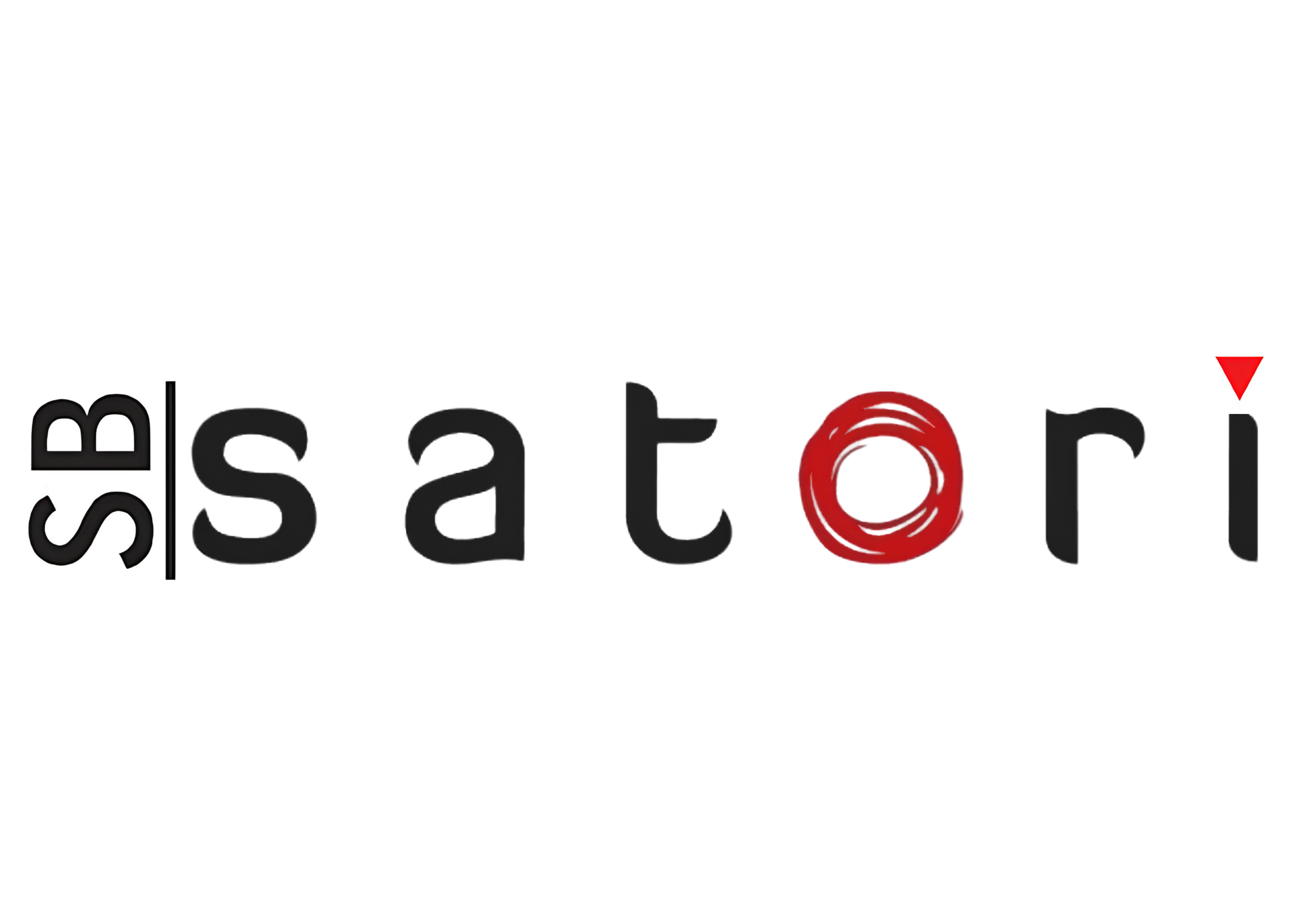 SB ACOUSTICS SATORI